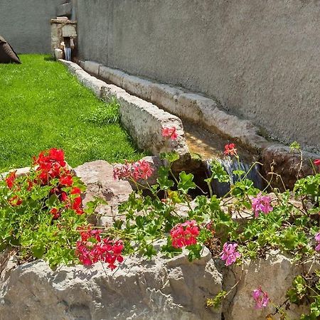 Il Frantoio A Monte-Vicino Al Lago Malcesine Dış mekan fotoğraf